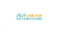 Logo blb cablage