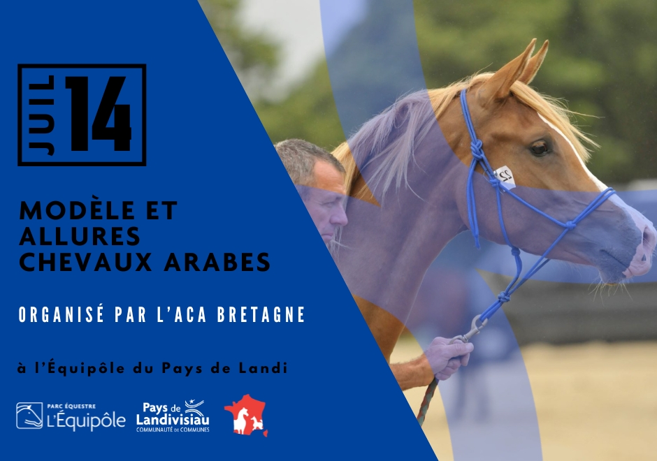 CCPL - Equipôle - Modèle et allures chevaux arabes - 14 juillet