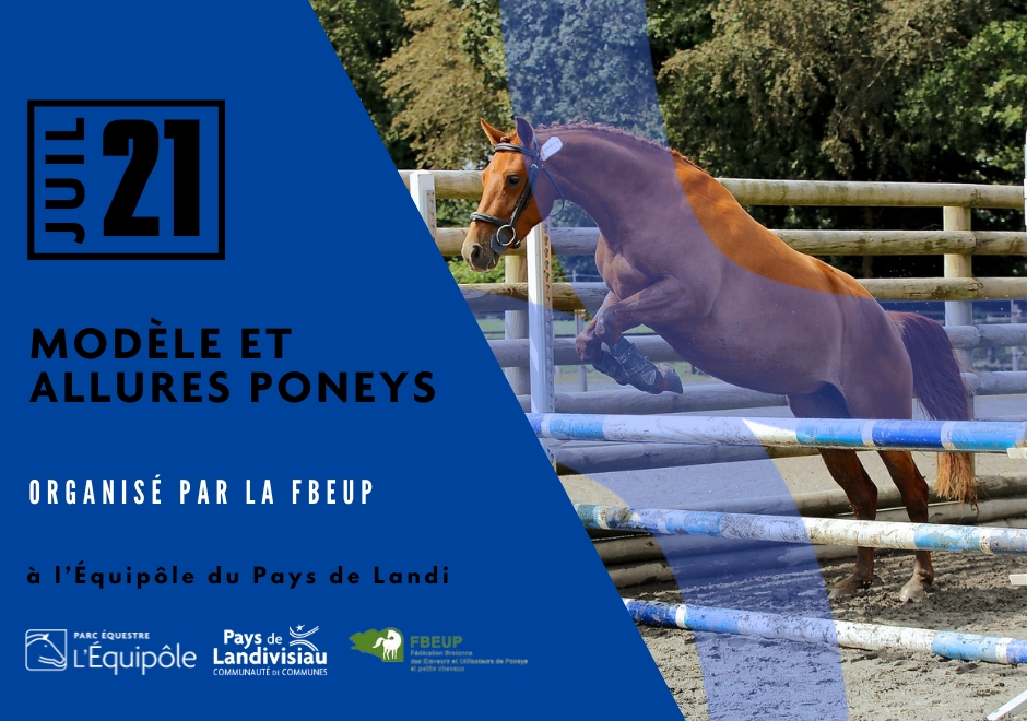CCPL - Equipôle - Modèle et allures poneys - 21 juillet