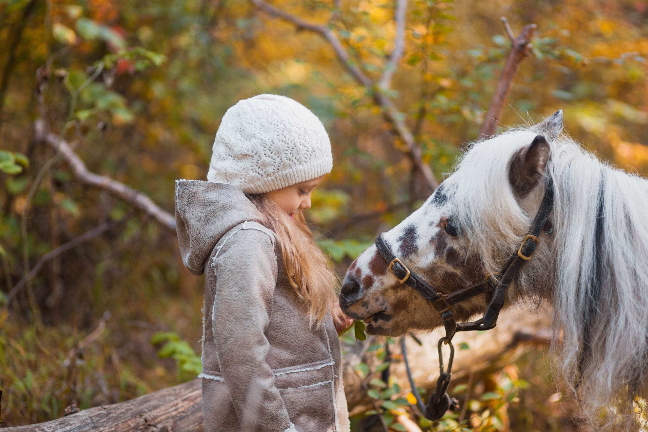 Little cute girl walking with a pony in the autumn forest